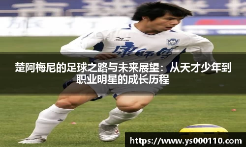 jn江南体育平台