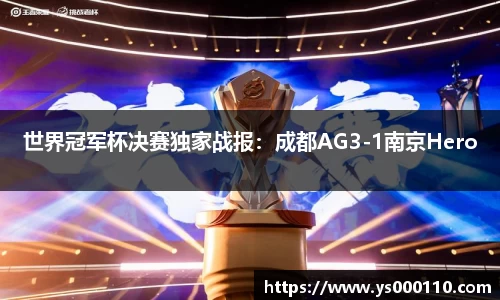 世界冠军杯决赛独家战报：成都AG3-1南京Hero